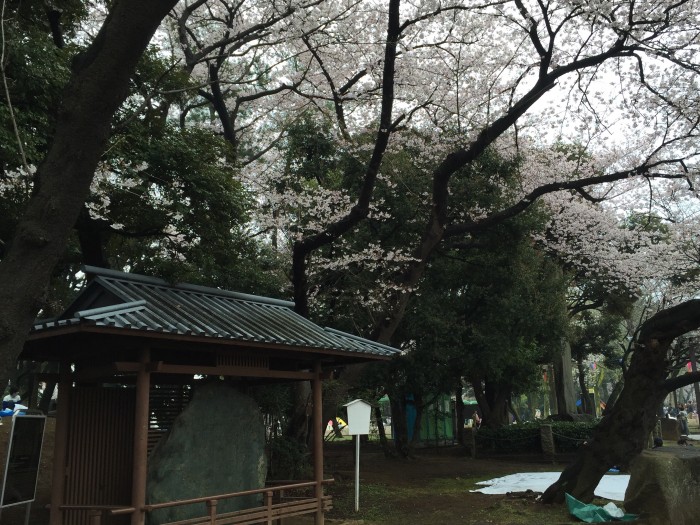 江戸時代の桜の名所、飛鳥山-飛鳥山の由来と花見の起源 江戸時代の桜の名所、飛鳥山-飛鳥山の由来と花見の起源