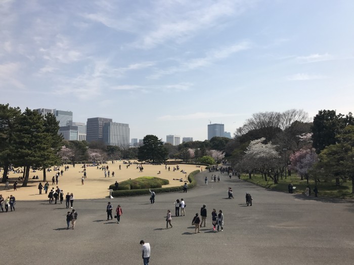 時代を越えて受け継がれる名城-江戸城