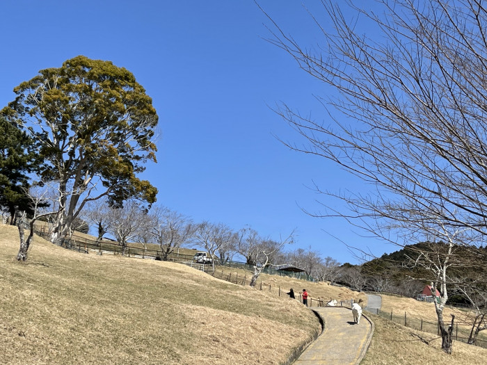 江戸時代酪農の発祥の地-嶺岡牧